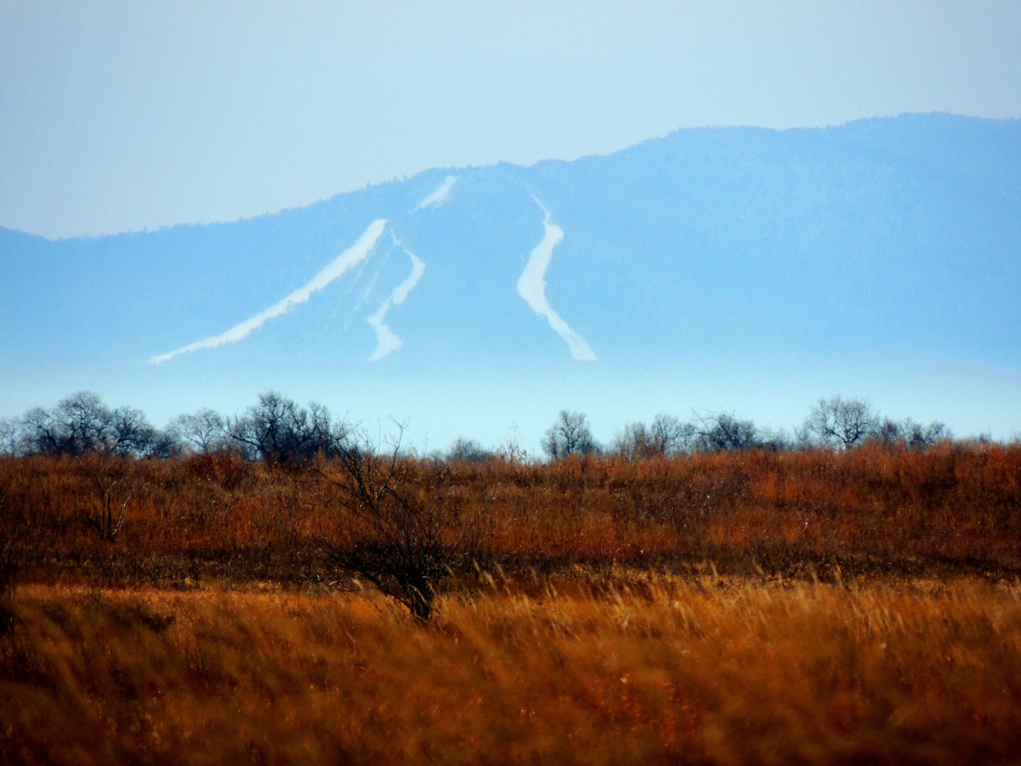 DSCN7788.JPG