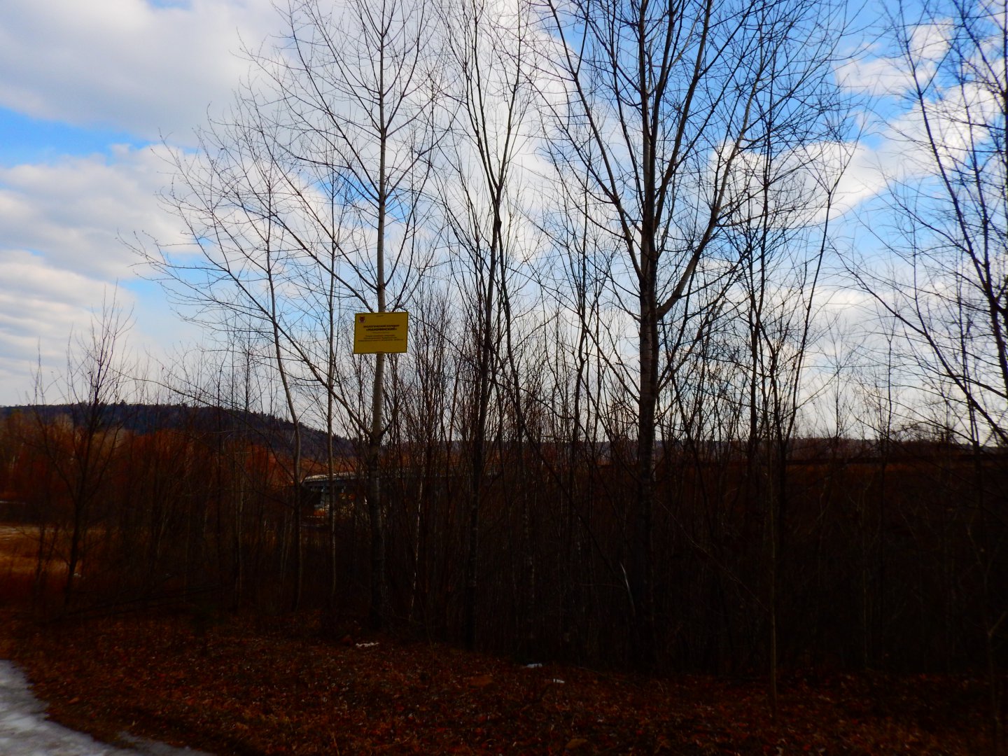 DSCN7823.JPG