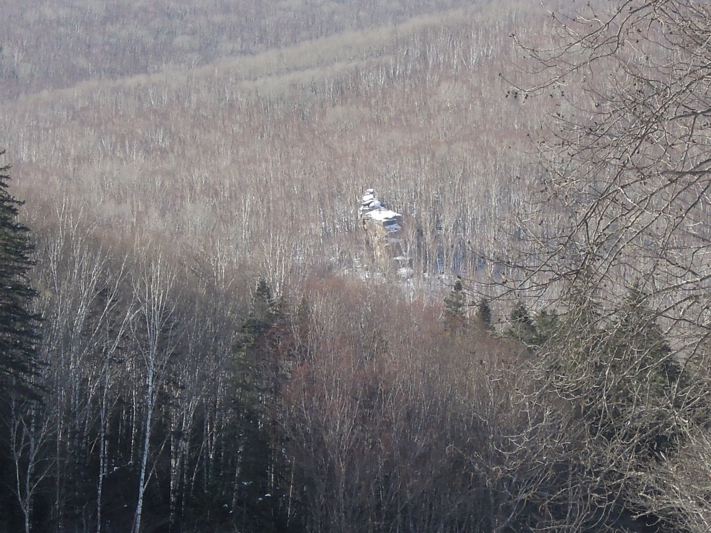 DSCN8269.JPG