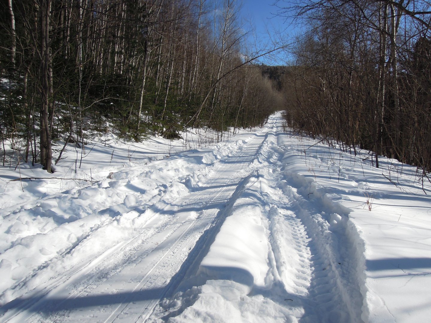 DSCN8330.JPG