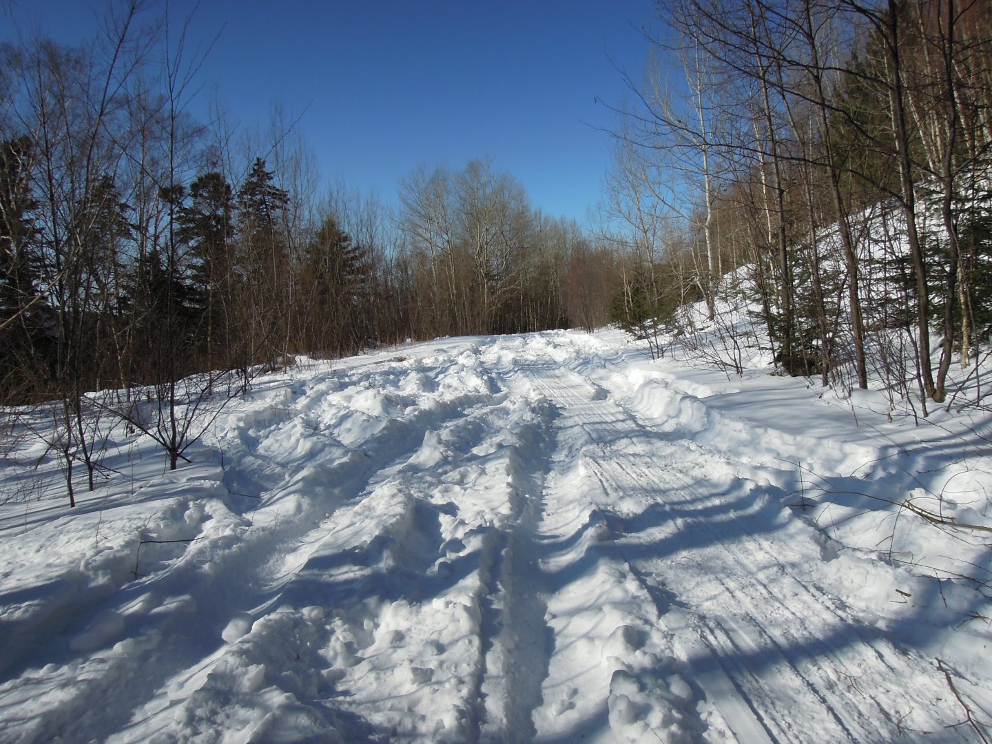 DSCN8332.JPG