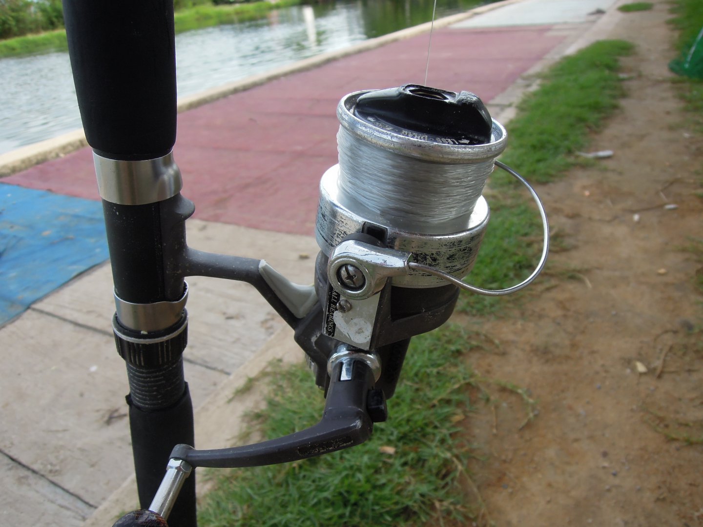 DSCN8433.JPG