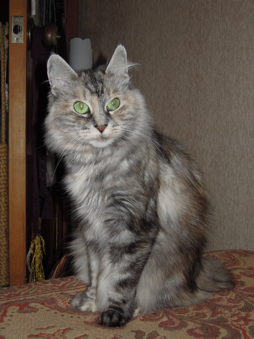 DSCN8440.JPG