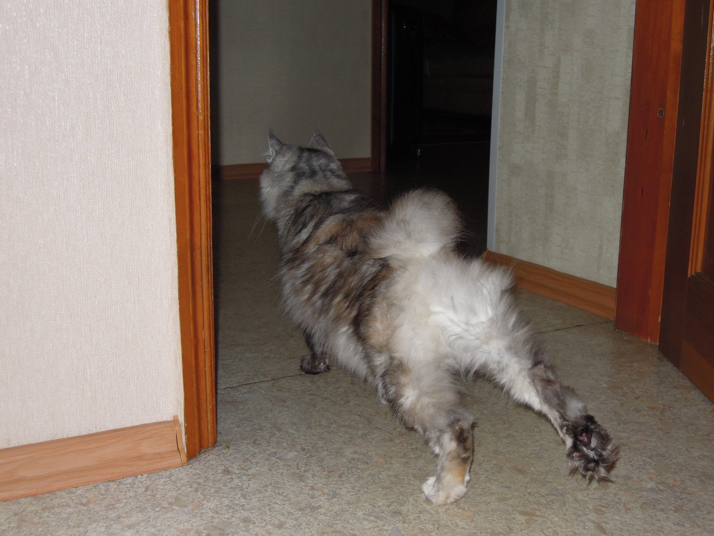 DSCN8443.JPG