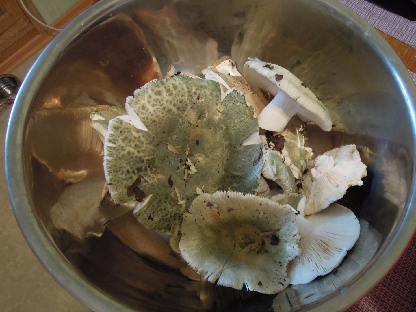 DSCN8605.JPG
