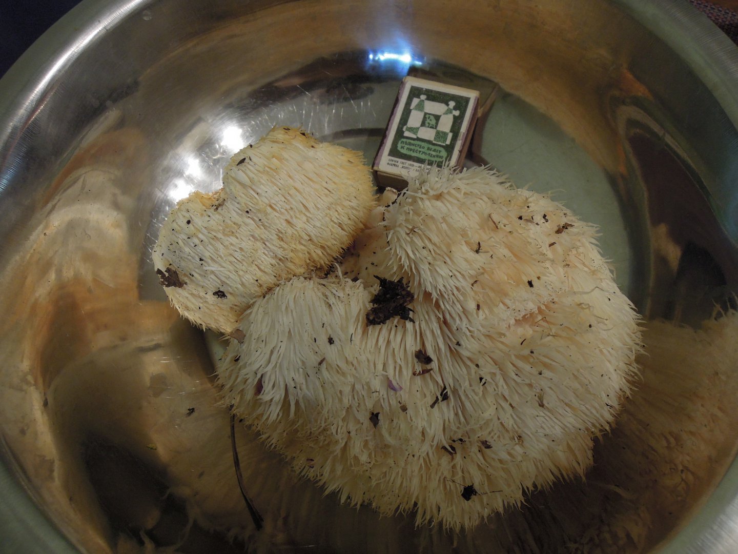 DSCN8608.JPG