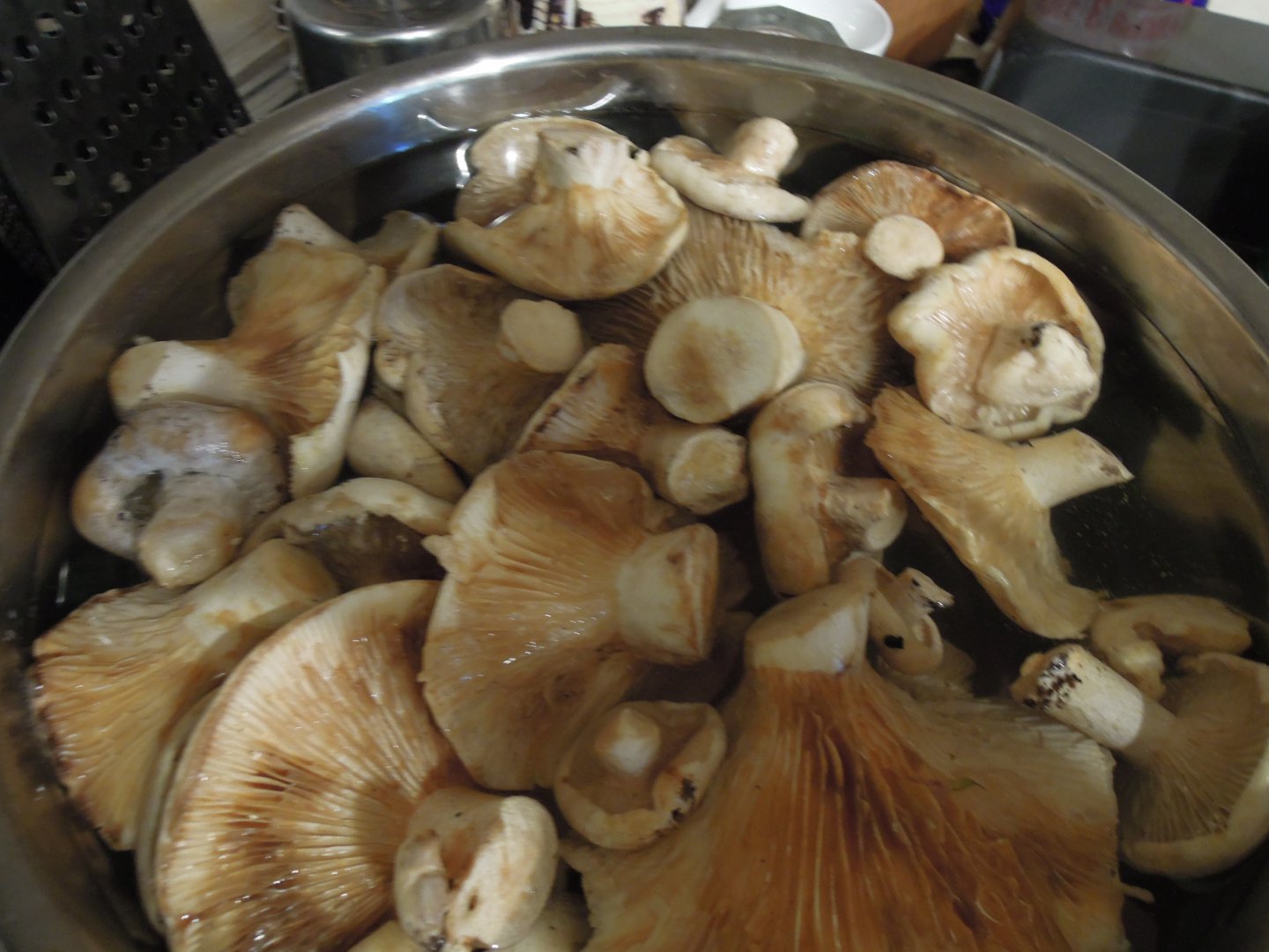 DSCN8620.JPG