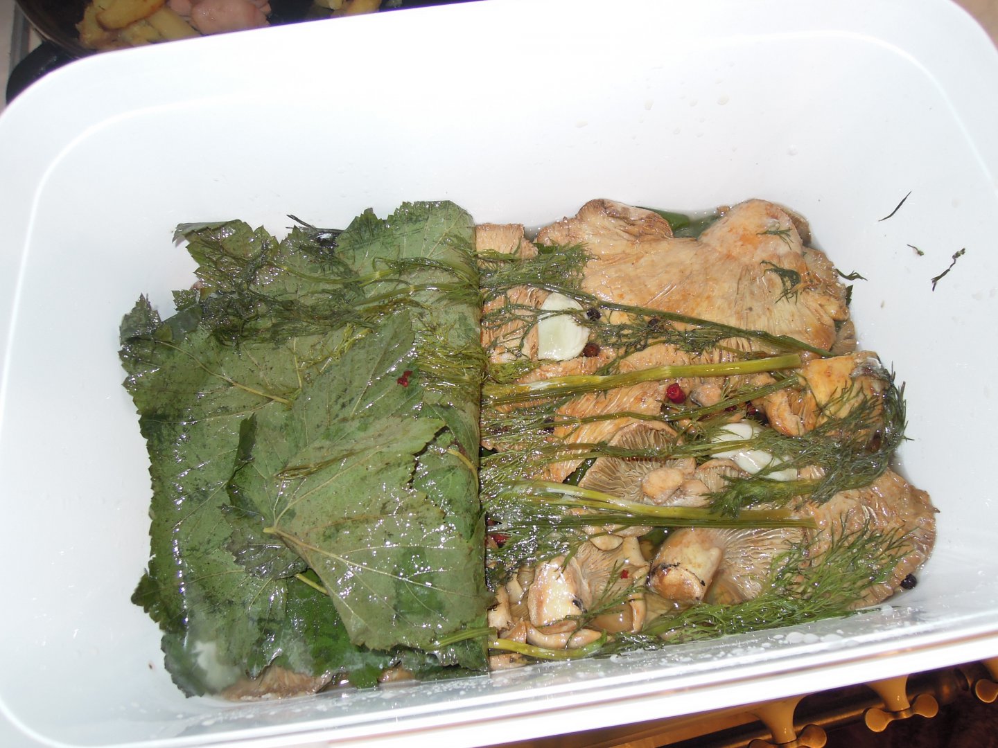 DSCN8633.JPG