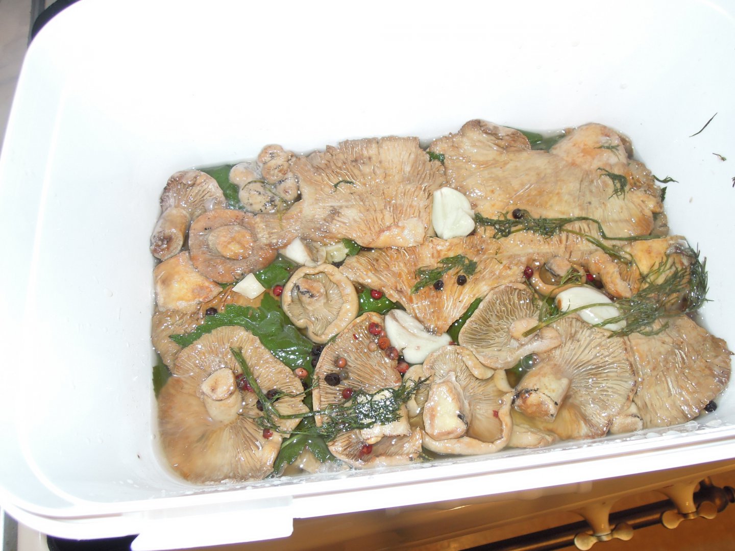 DSCN8634.JPG