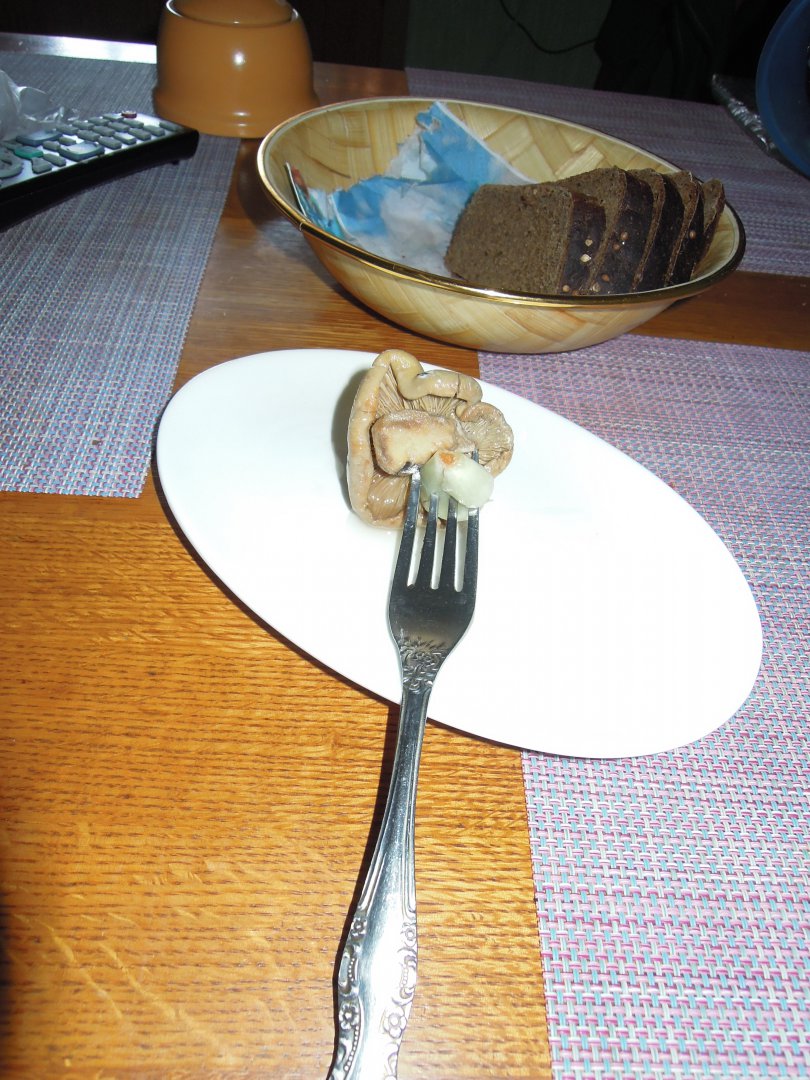 DSCN8638.JPG