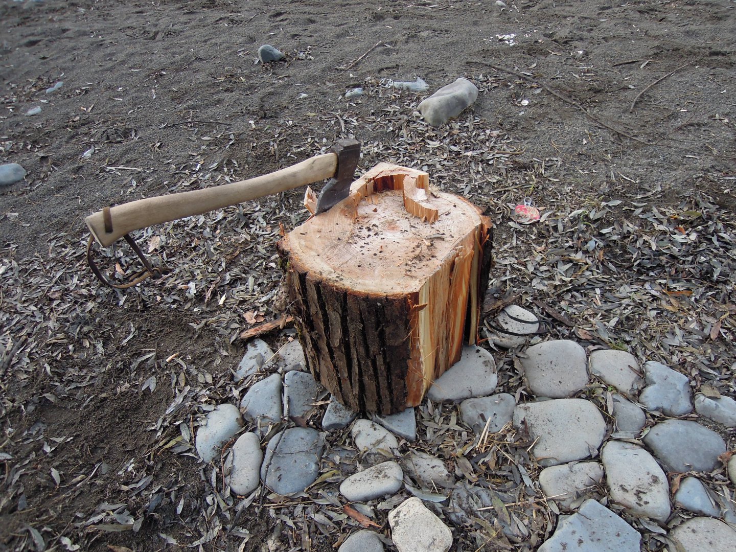 DSCN8700.JPG