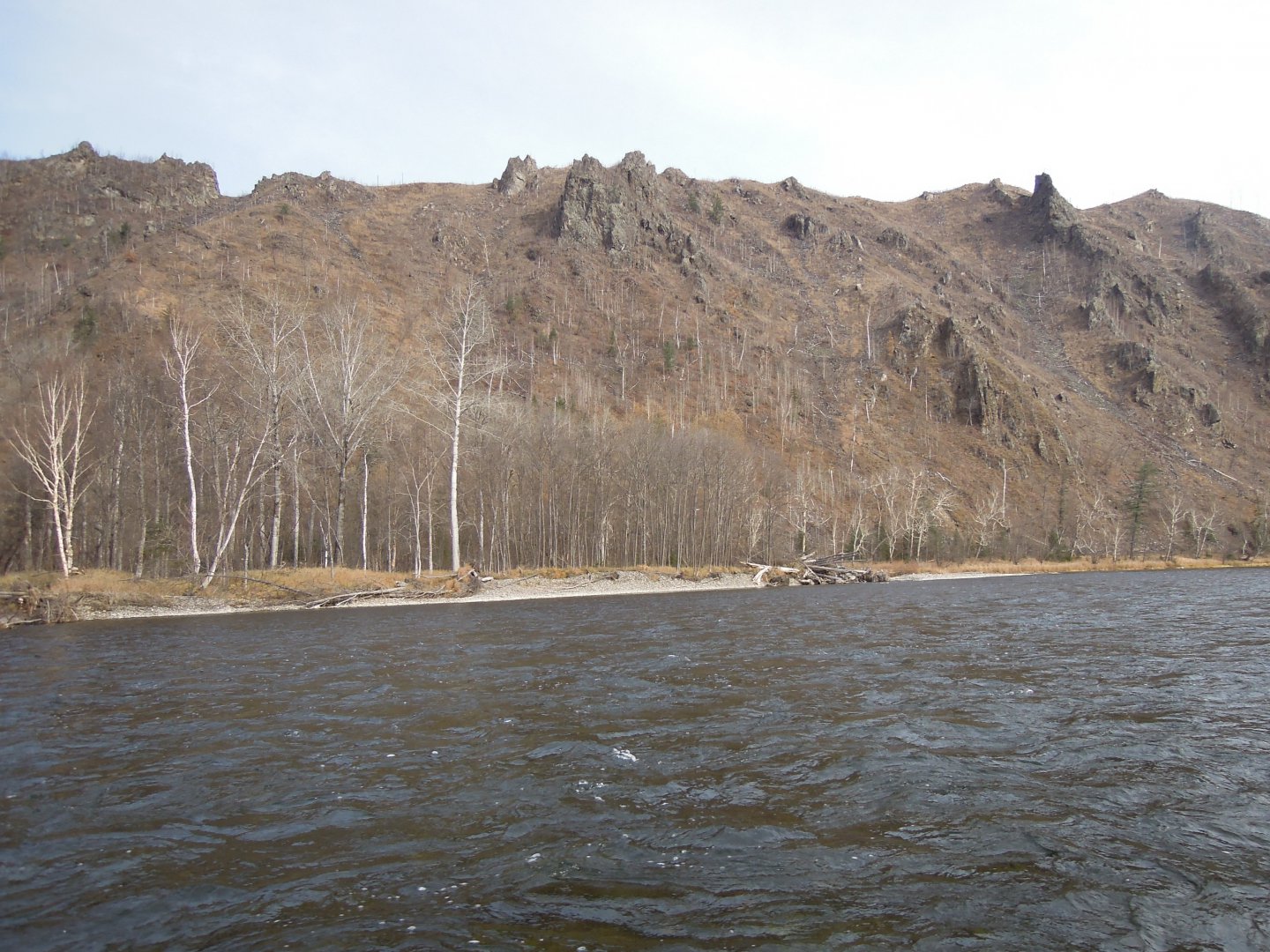 DSCN8784.JPG