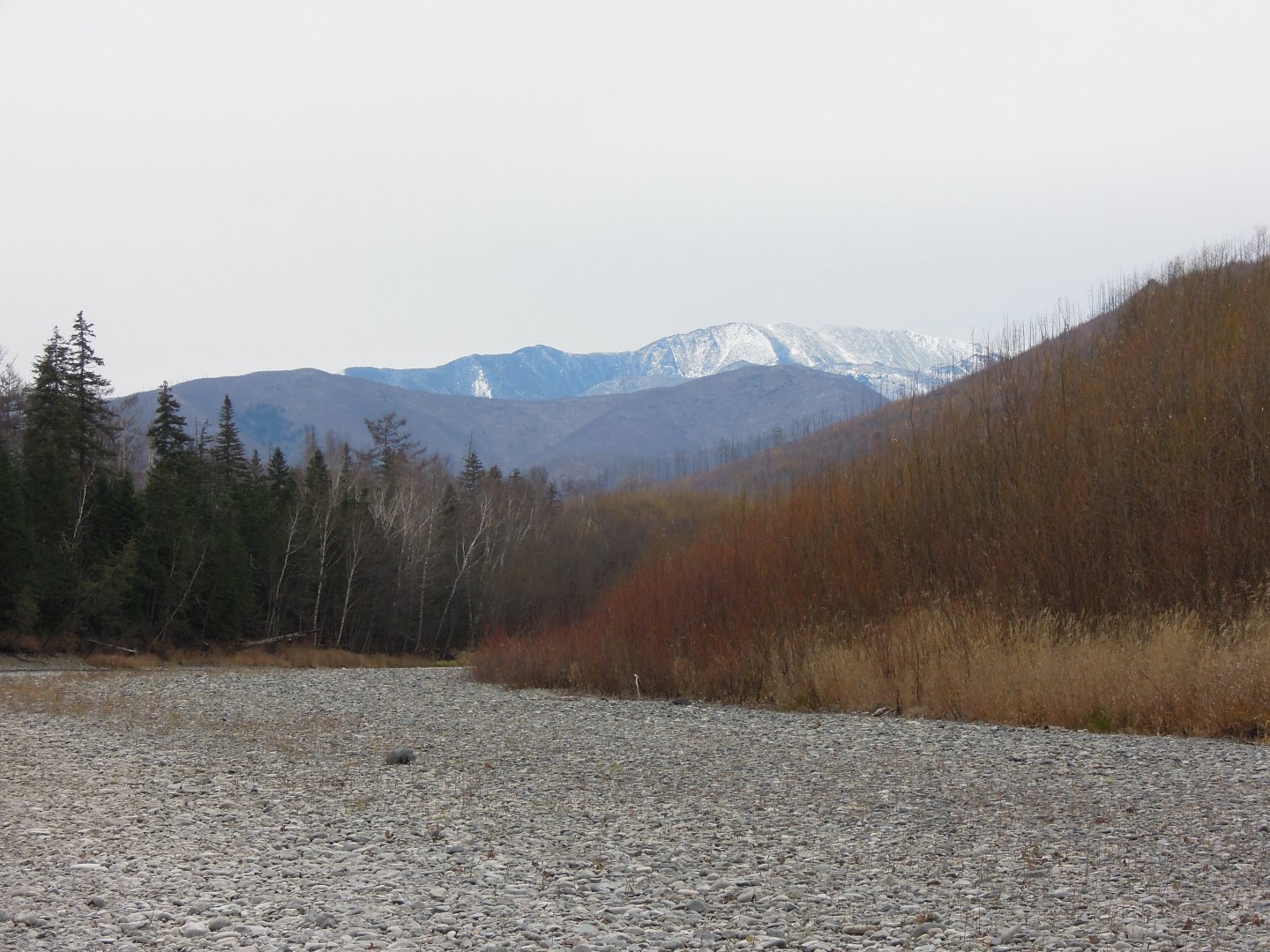 DSCN8811.JPG