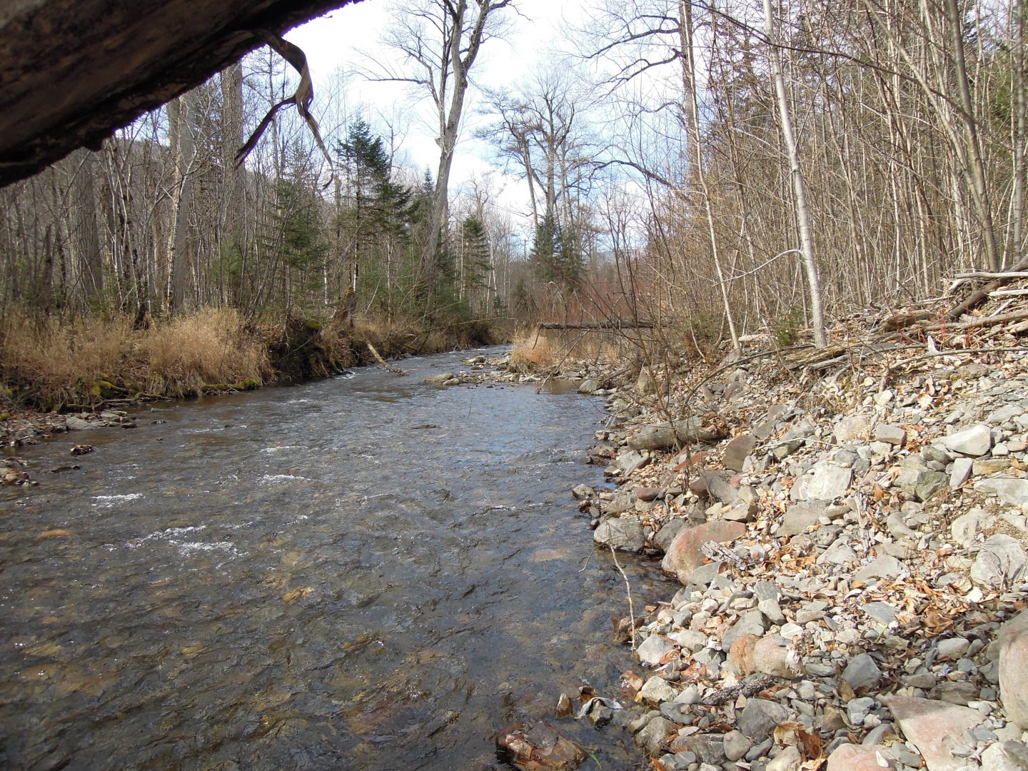 DSCN8852.JPG
