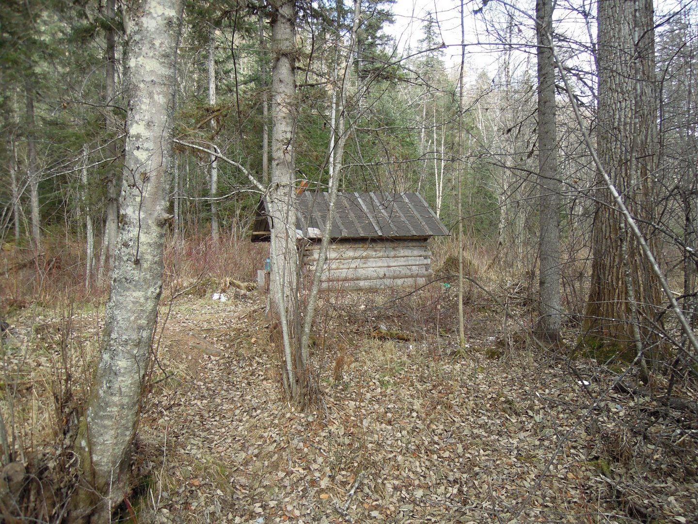 DSCN8854.JPG