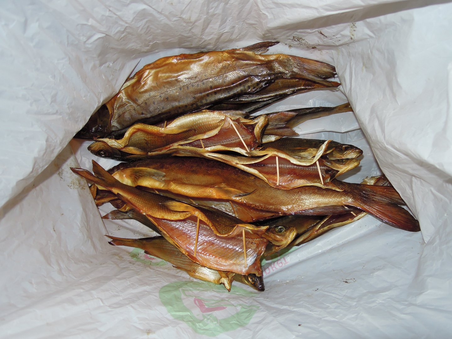 DSCN8909.JPG