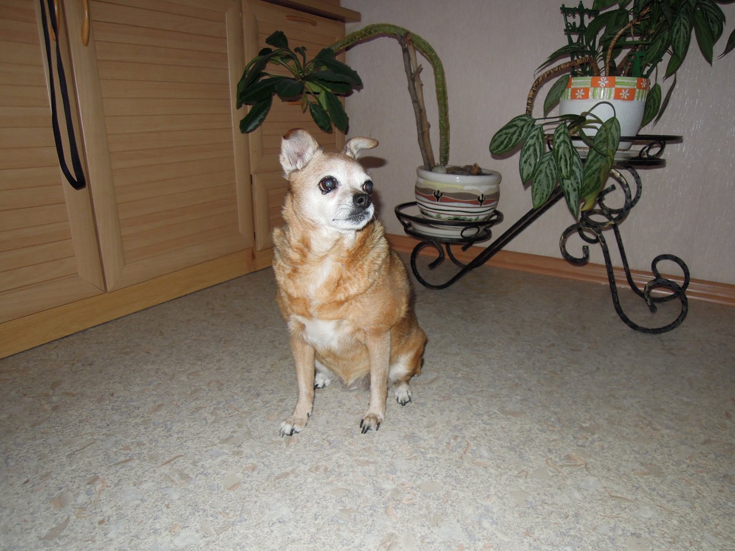 DSCN9066.JPG