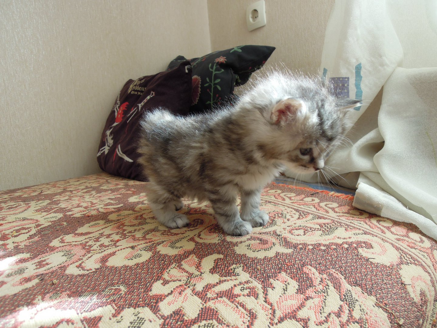 DSCN9131.JPG