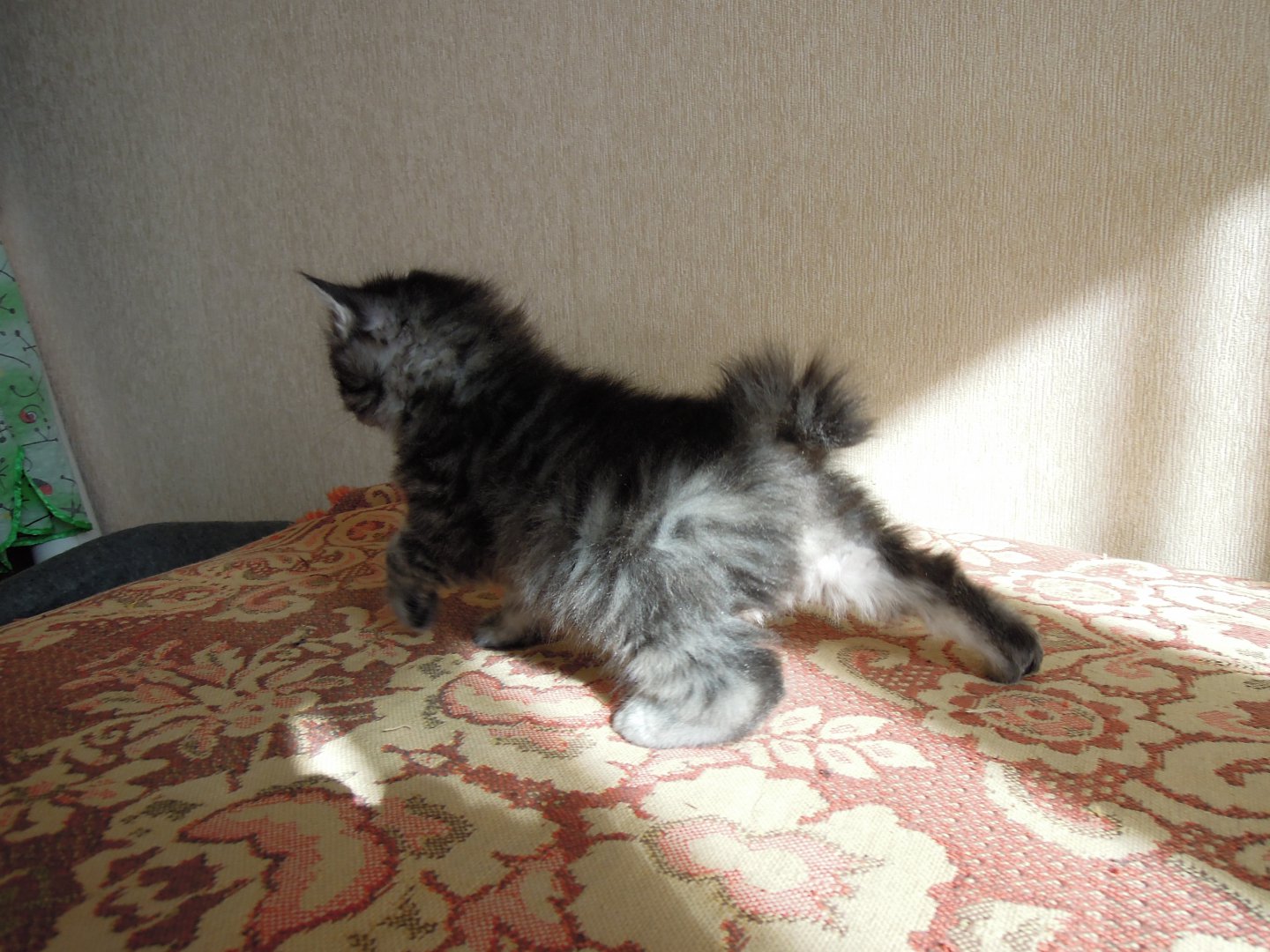 DSCN9132.JPG