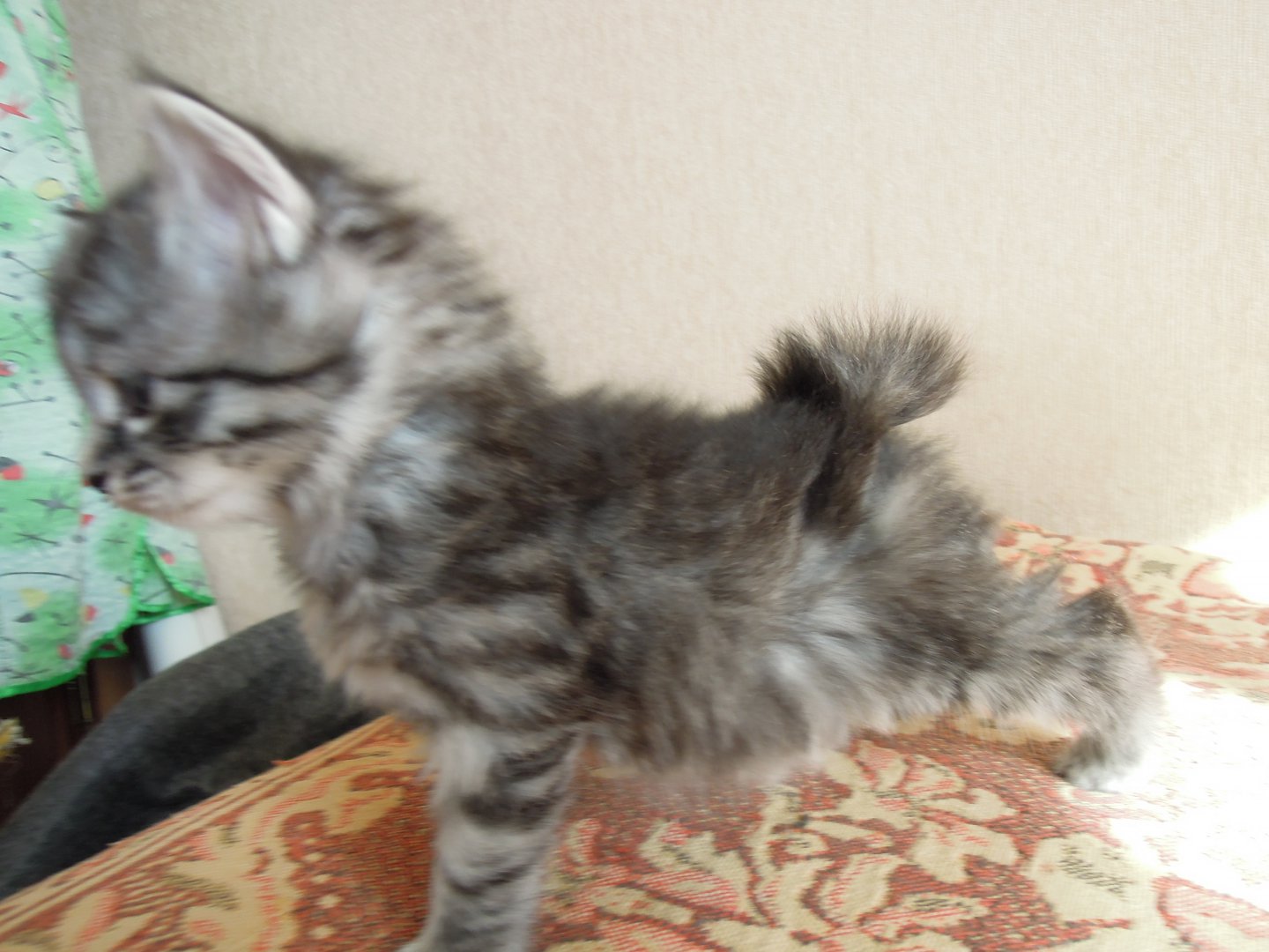 DSCN9133.JPG