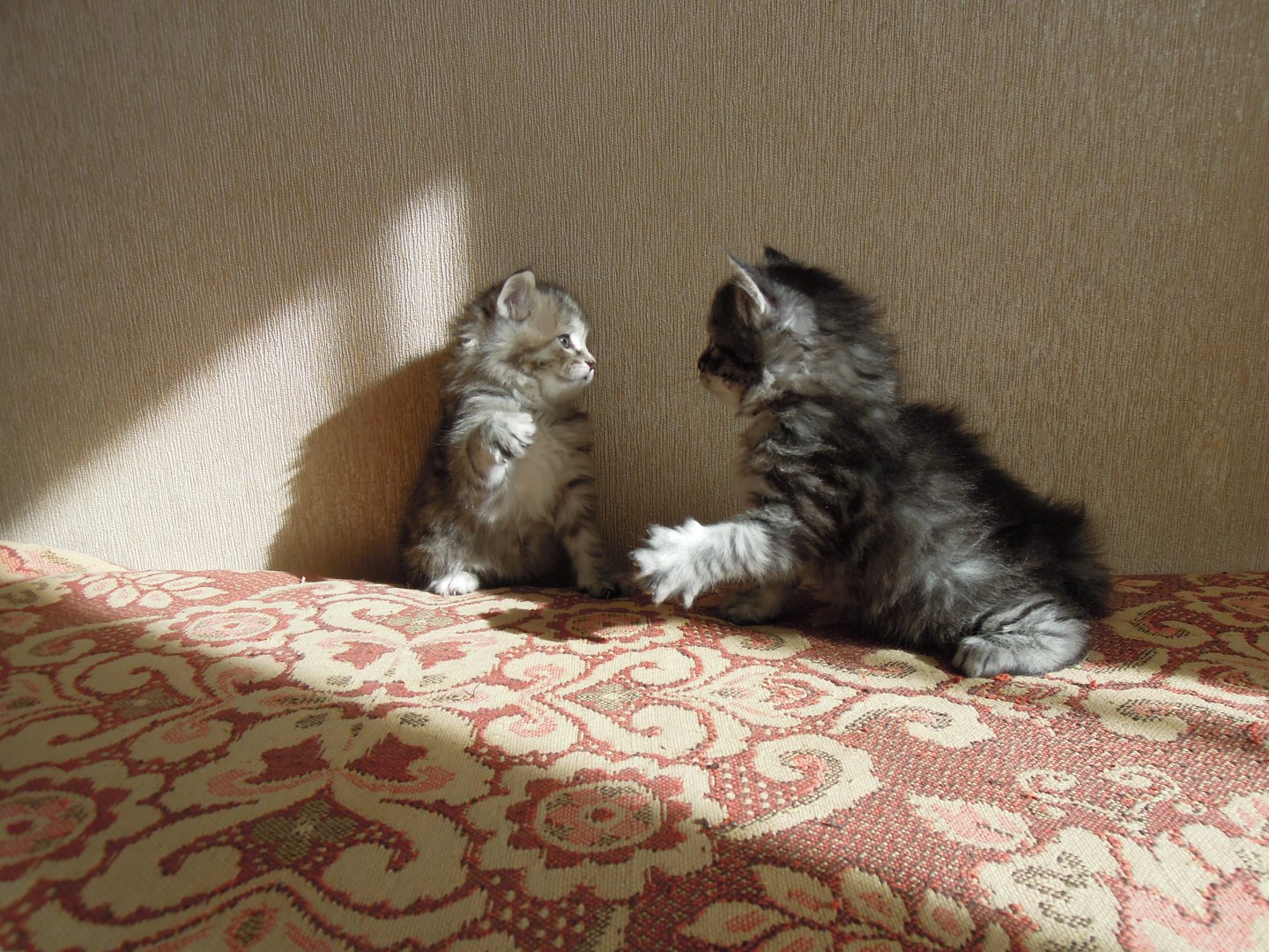 DSCN9139.JPG