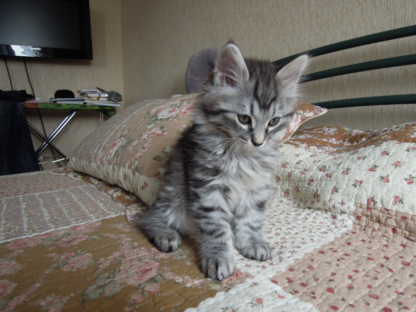 DSCN9149.JPG