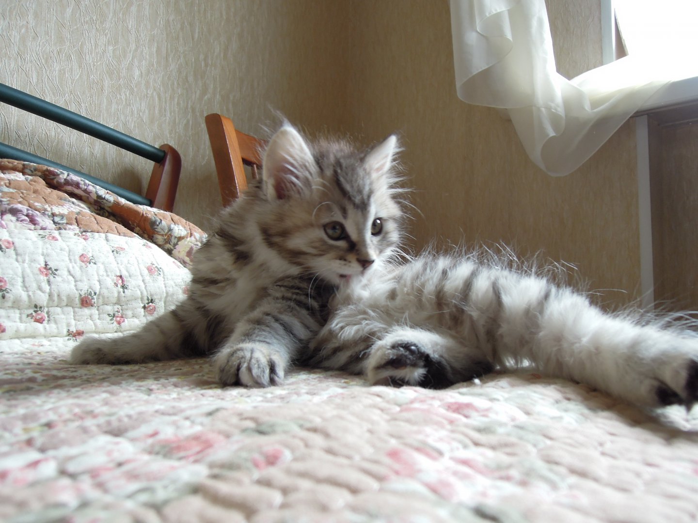 DSCN9159.JPG