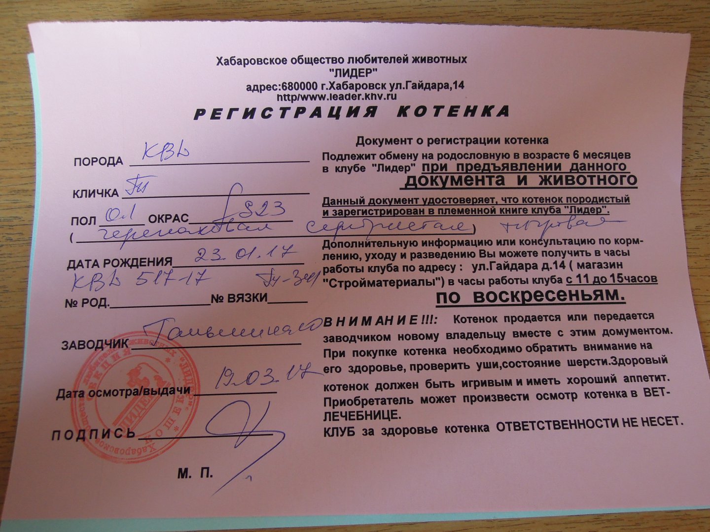 DSCN9173.JPG