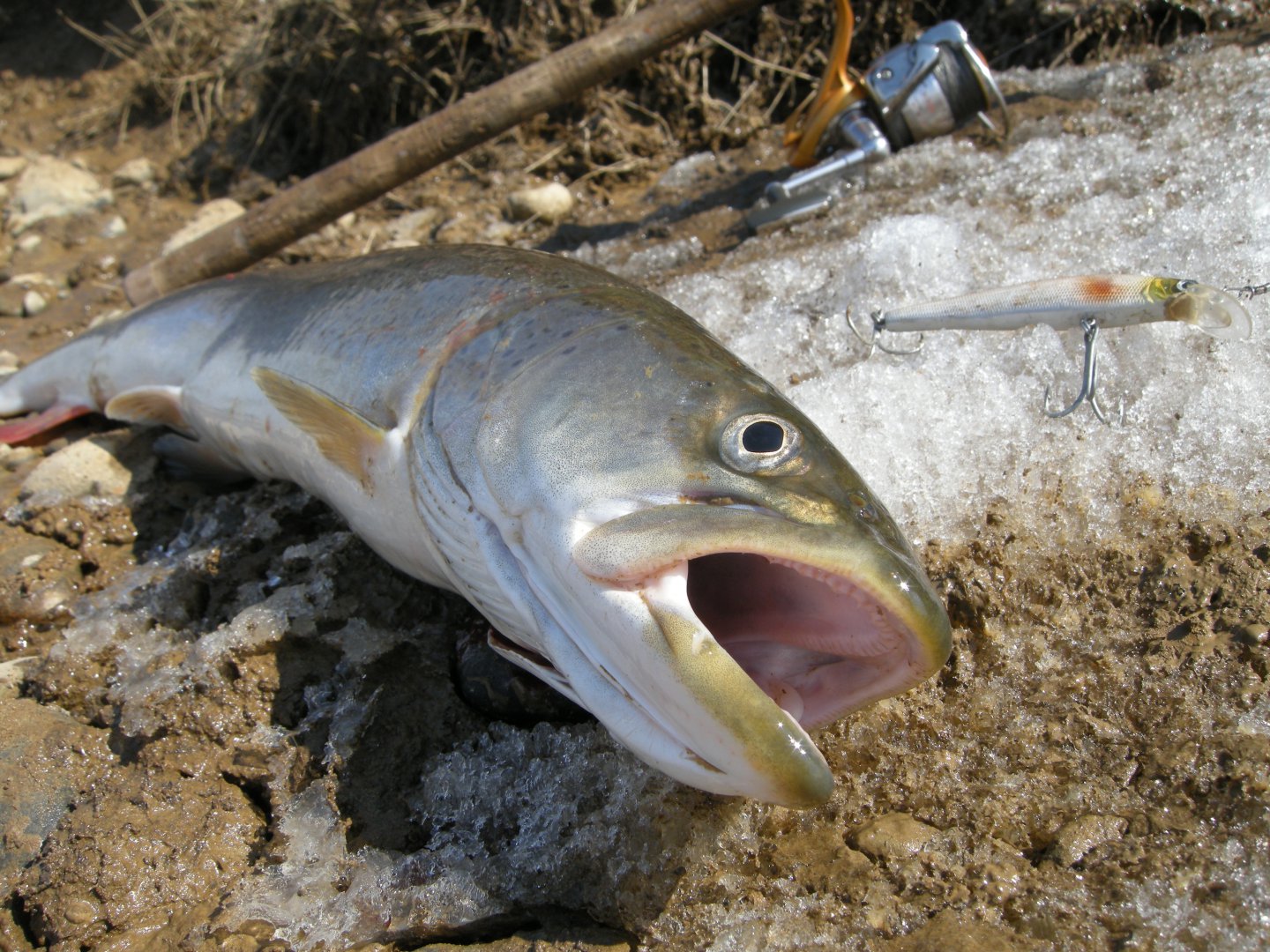 DSCN9268.JPG