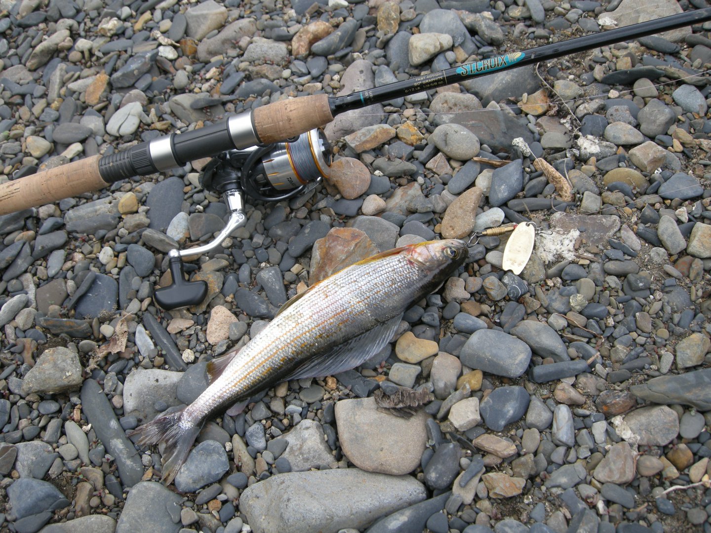 DSCN9498.JPG