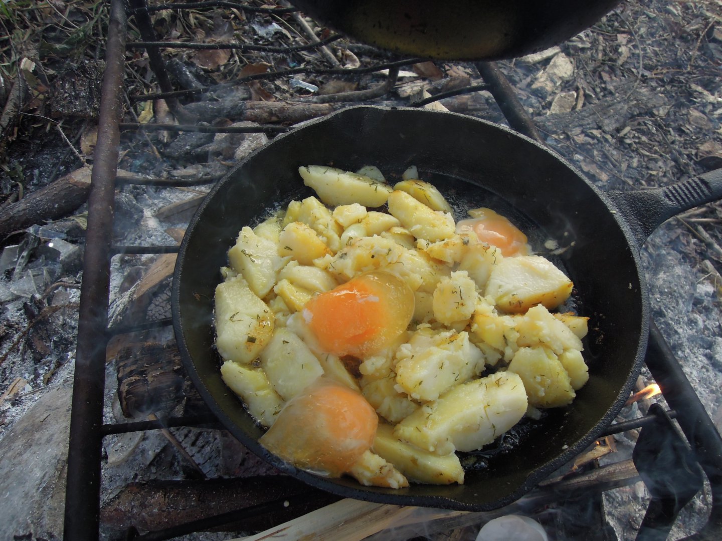 DSCN9512.JPG