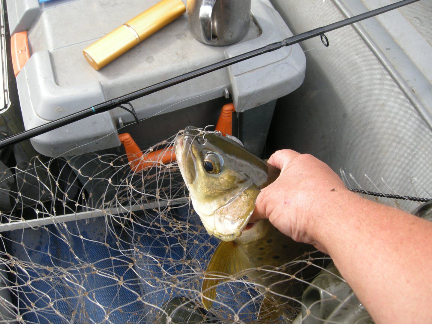 DSCN9522.JPG
