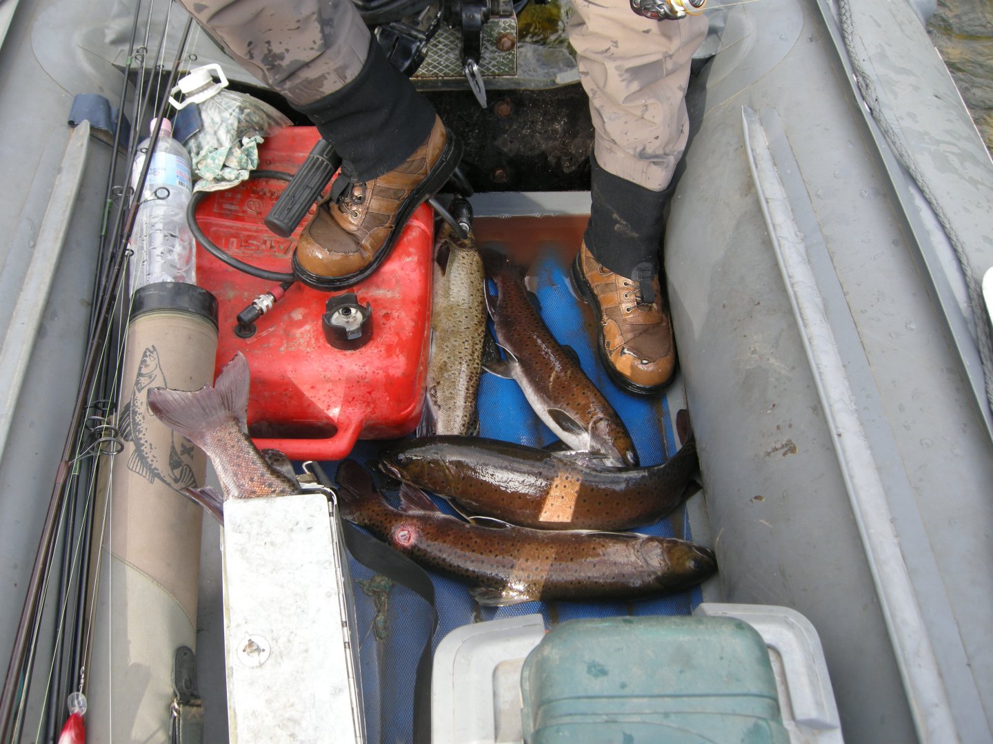 DSCN9527.JPG