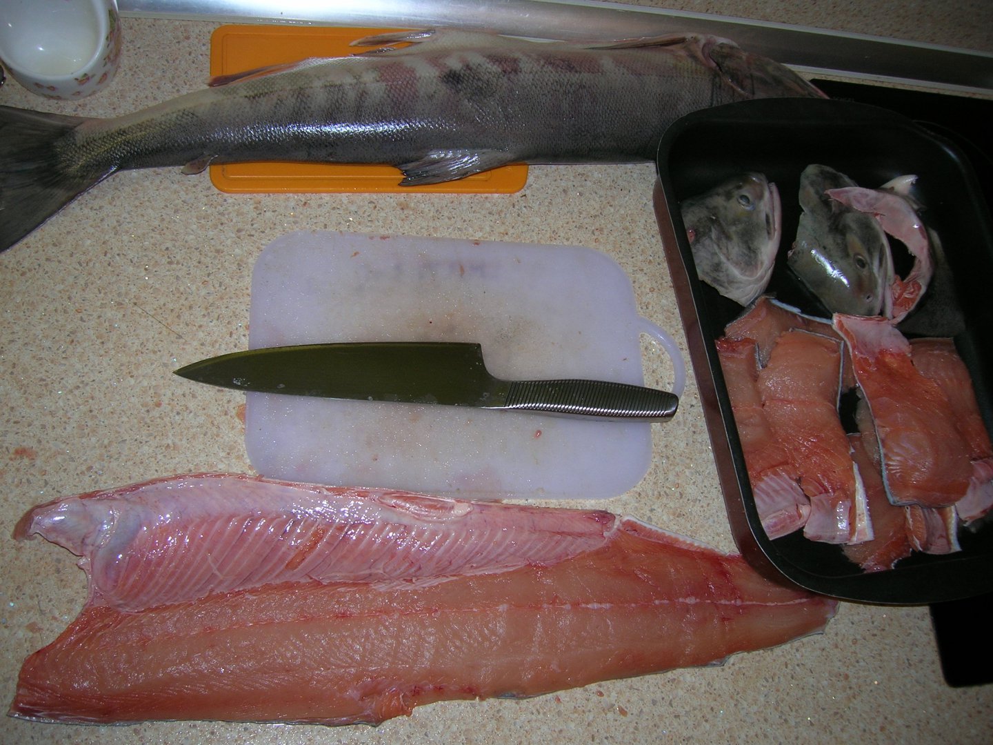 DSCN9814.JPG