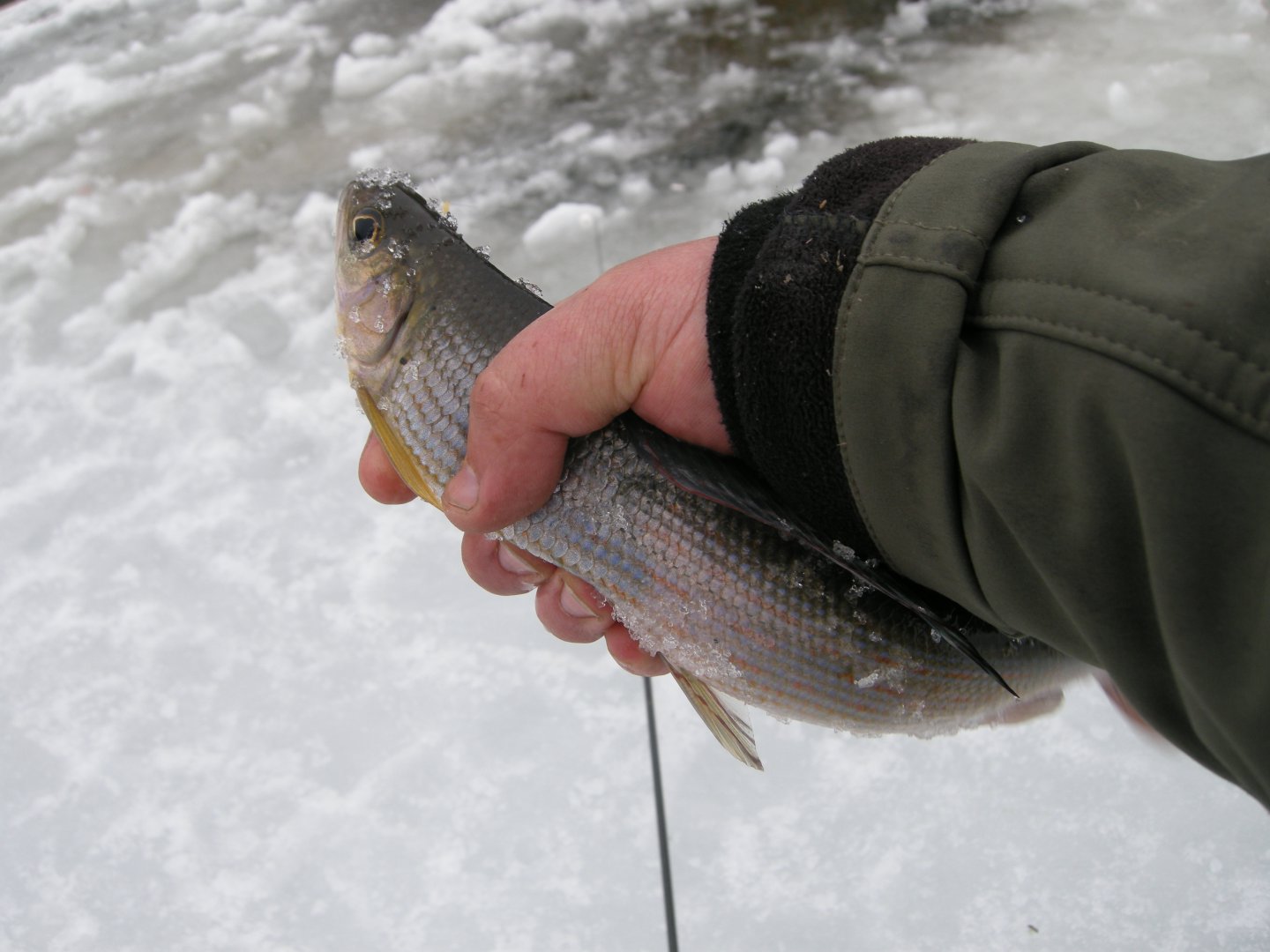 DSCN9907.JPG