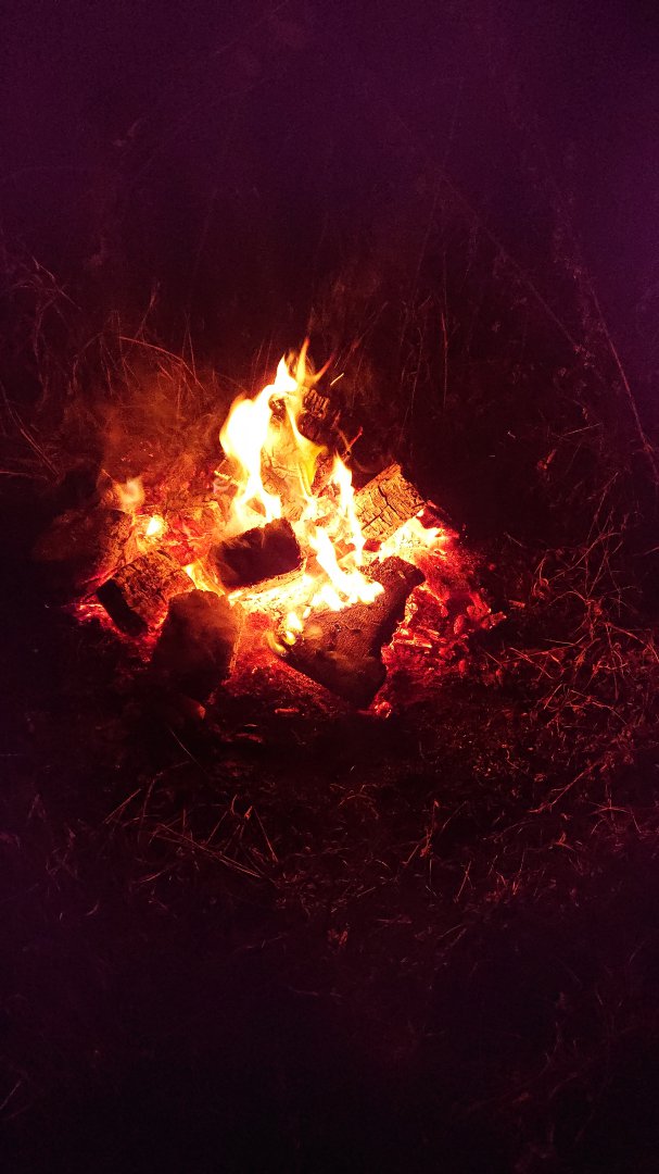 DSCPDC_0002_BURST20190928210643625_COVER.JPG