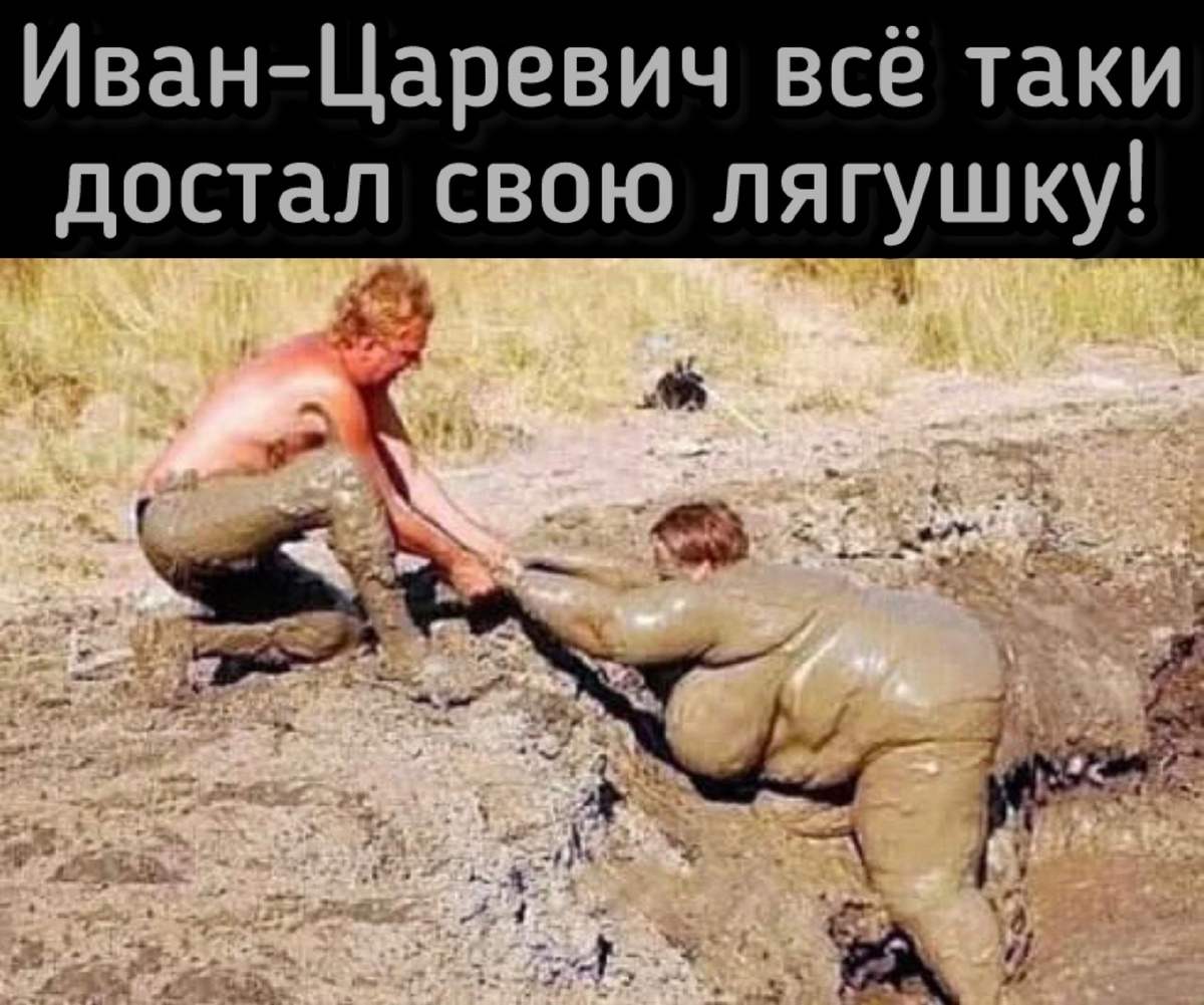 дшщ.jpg