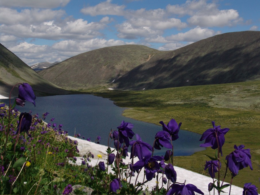 два в одном.jpg