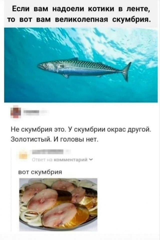 dy_djl0BYk0h_uRK1Gtb1XzbeE5E3r6oiMmGuRcUrP5Ki_IQEQXNZrQC846LjqpFg660MAm4mH7LckRCGdzzM2Mf8JOtoQ.jpg