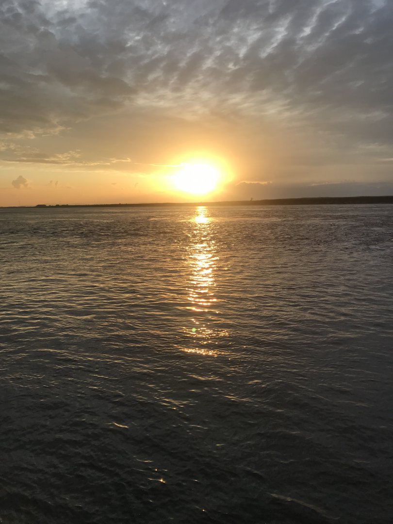 E6339356-E2C7-49FA-944E-A28B49C28E9E.jpeg