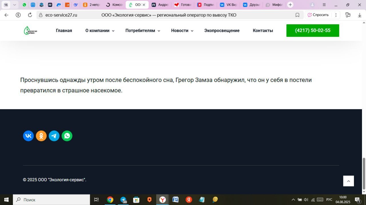 эко.jpg