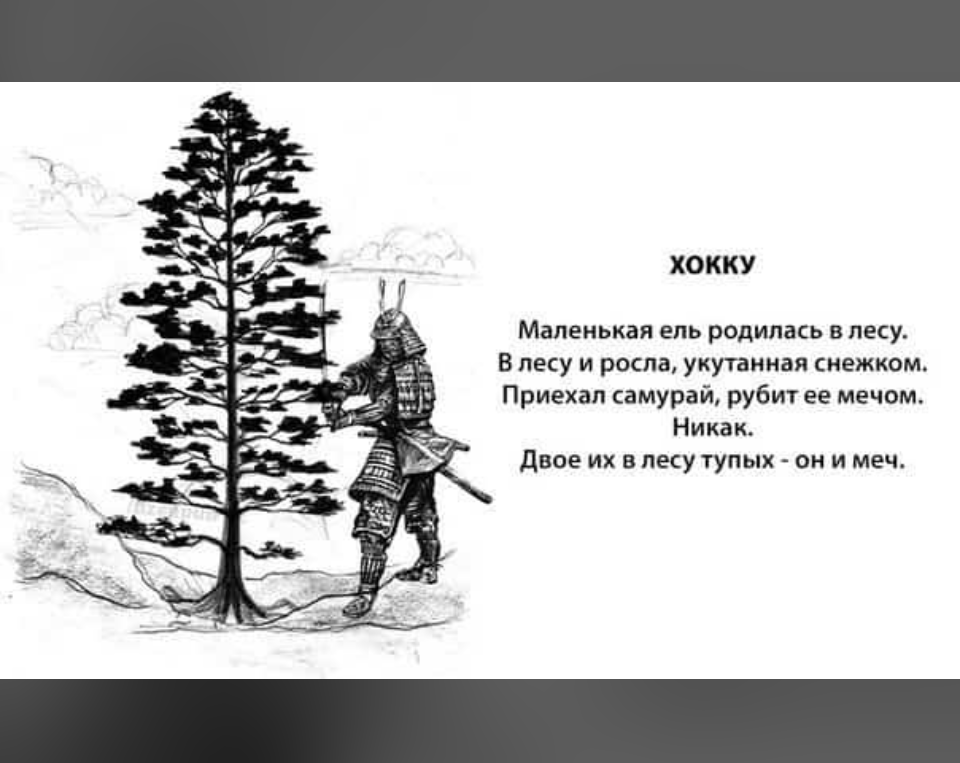  экрана 2024—12—27 в 13.02.01.png