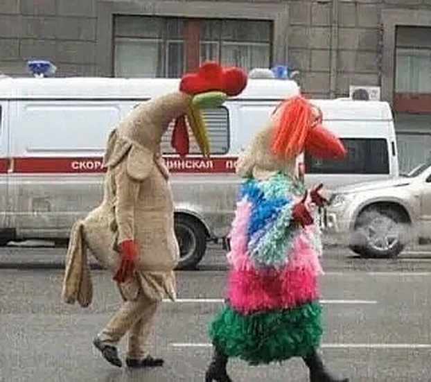 эщж.jpg