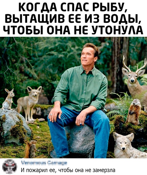 eiH3QJu8UfU.jpg