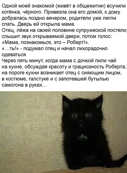 EiHxAO8kuLs.jpg