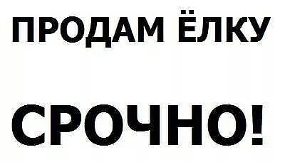 елка.jpg