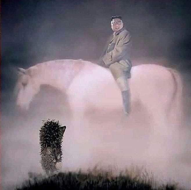 ежик.jpg