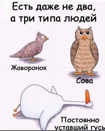 f7131cdf9c739709a52a8736633653b9.jpg