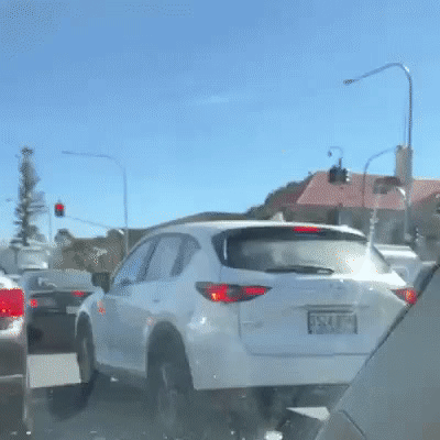 F994B994-F699-46B7-8AB1-CC89295EF178.gif