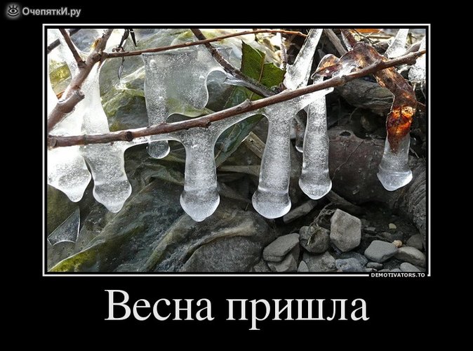 f_31619.jpg